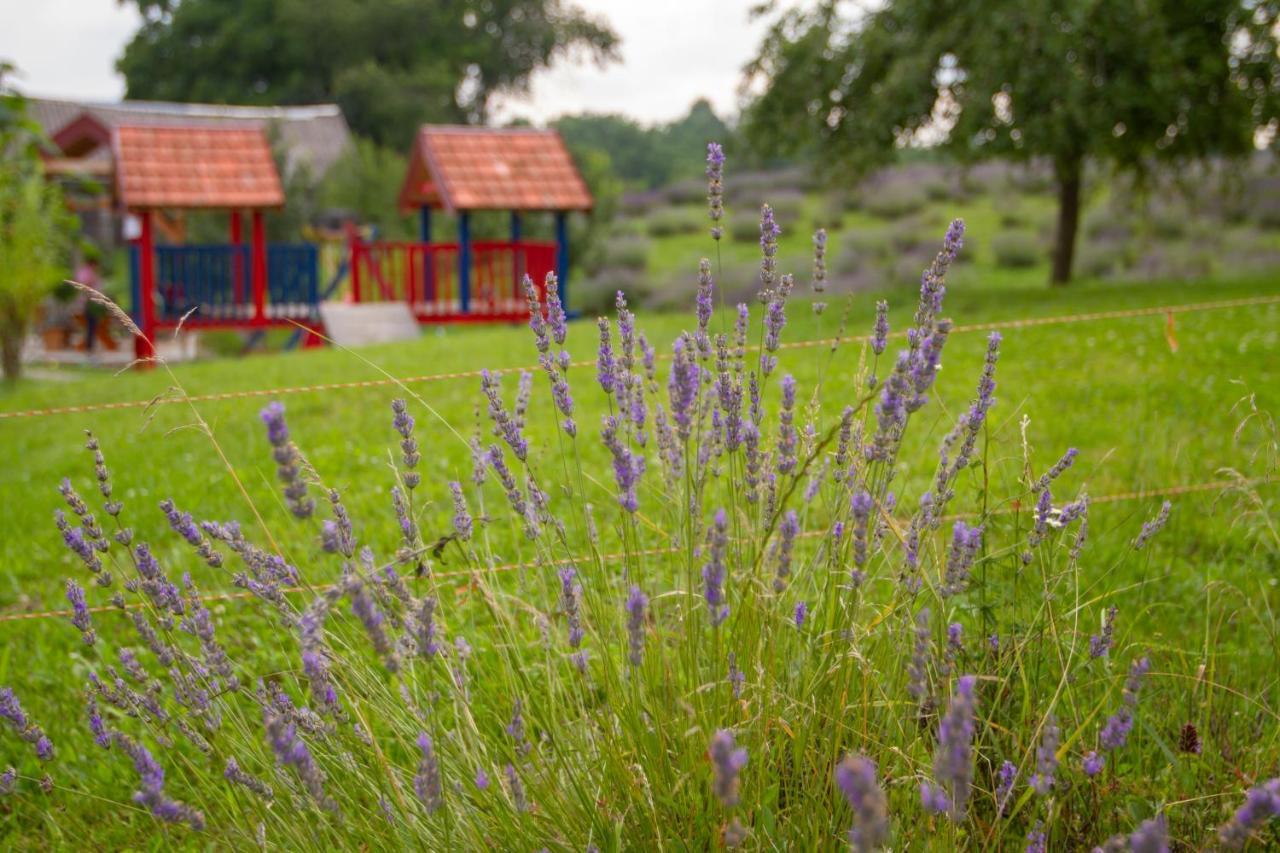 Lavanda Farm Apartmani Rakovica Exterior photo
