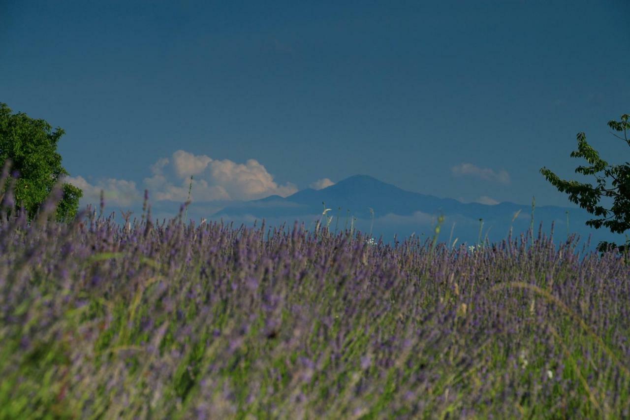 Lavanda Farm Apartmani Rakovica Exterior photo